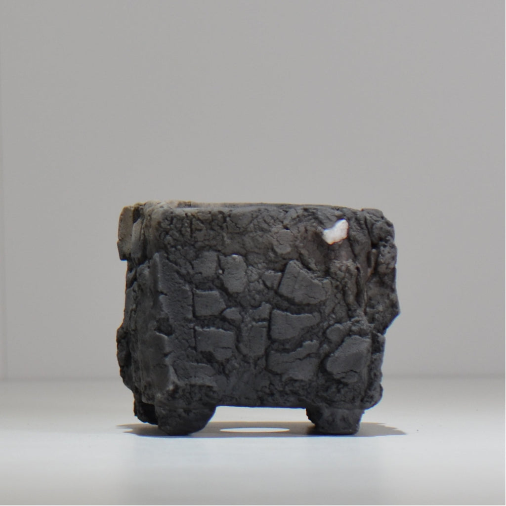 宮島將實 / mm3_sq03_xs / 約 φ8cm / 植木鉢