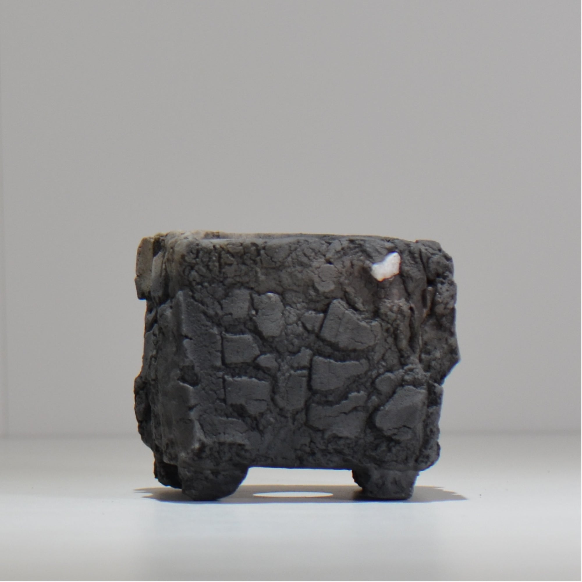 宮島將實 / mm3_sq03_xs / 約 φ8cm / 植木鉢