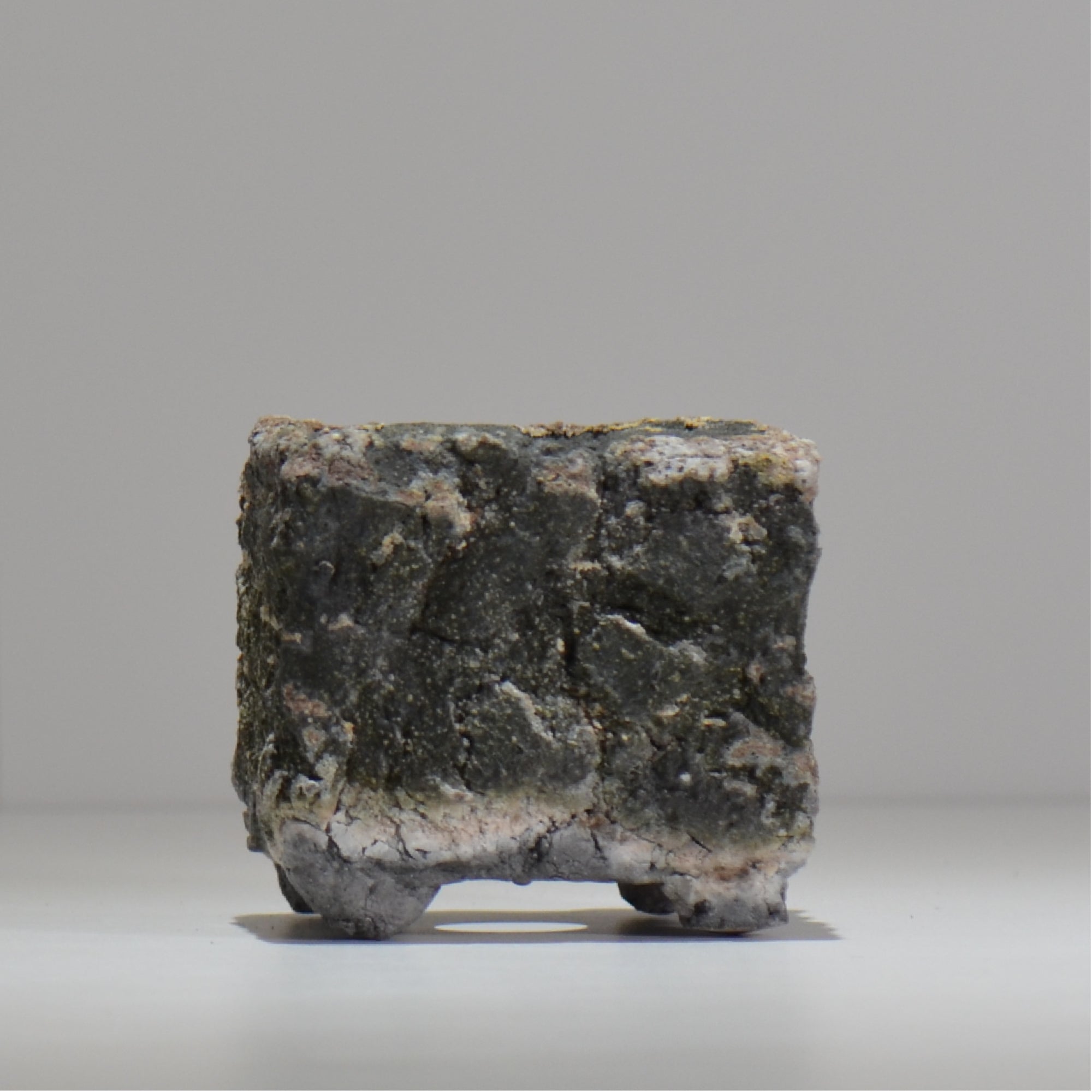 宮島將實 / mm3_sq04_xs / 約 φ8cm / 植木鉢