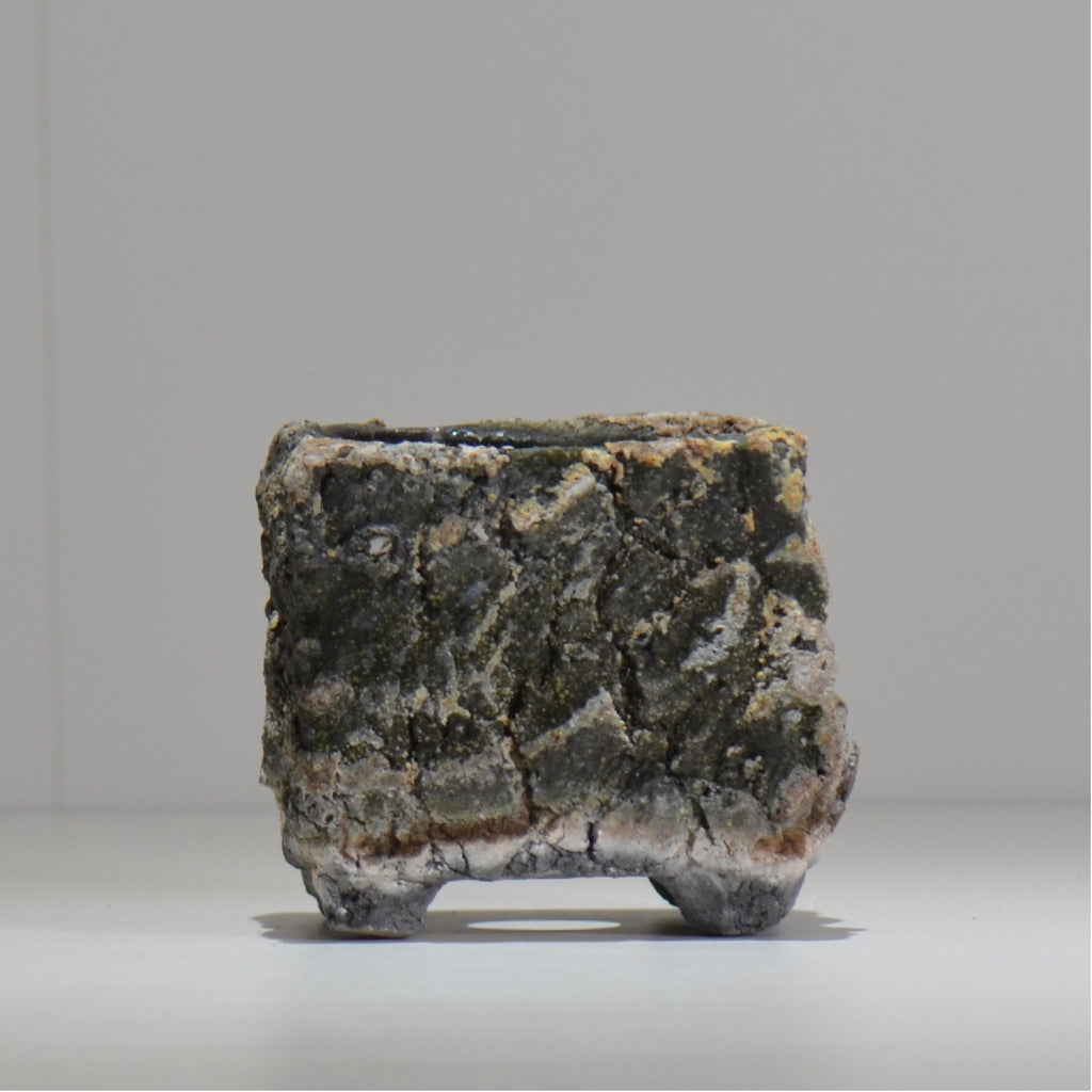 宮島將實 / mm3_sq04_xs / 約 φ8cm / 植木鉢