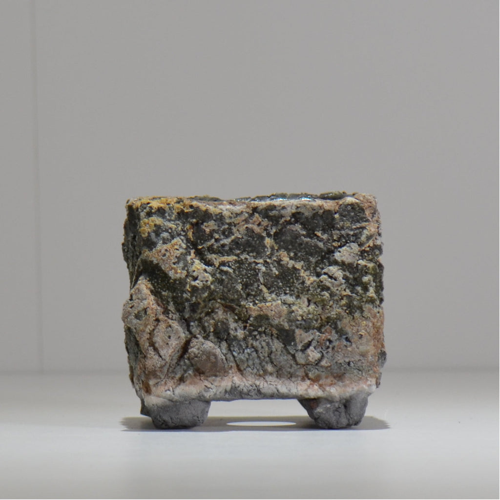 宮島將實 / mm3_sq04_xs / 約 φ8cm / 植木鉢
