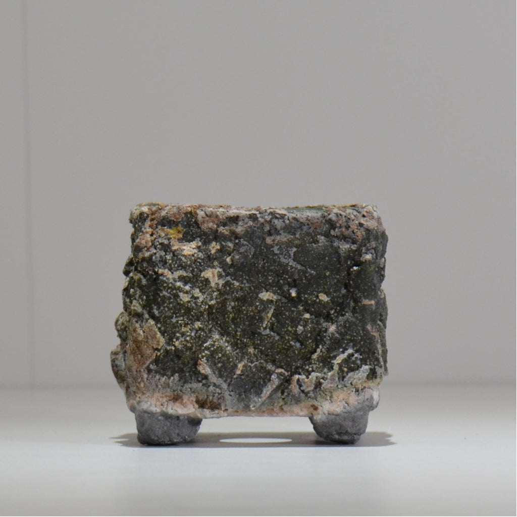 宮島將實 / mm3_sq04_xs / 約 φ8cm / 植木鉢