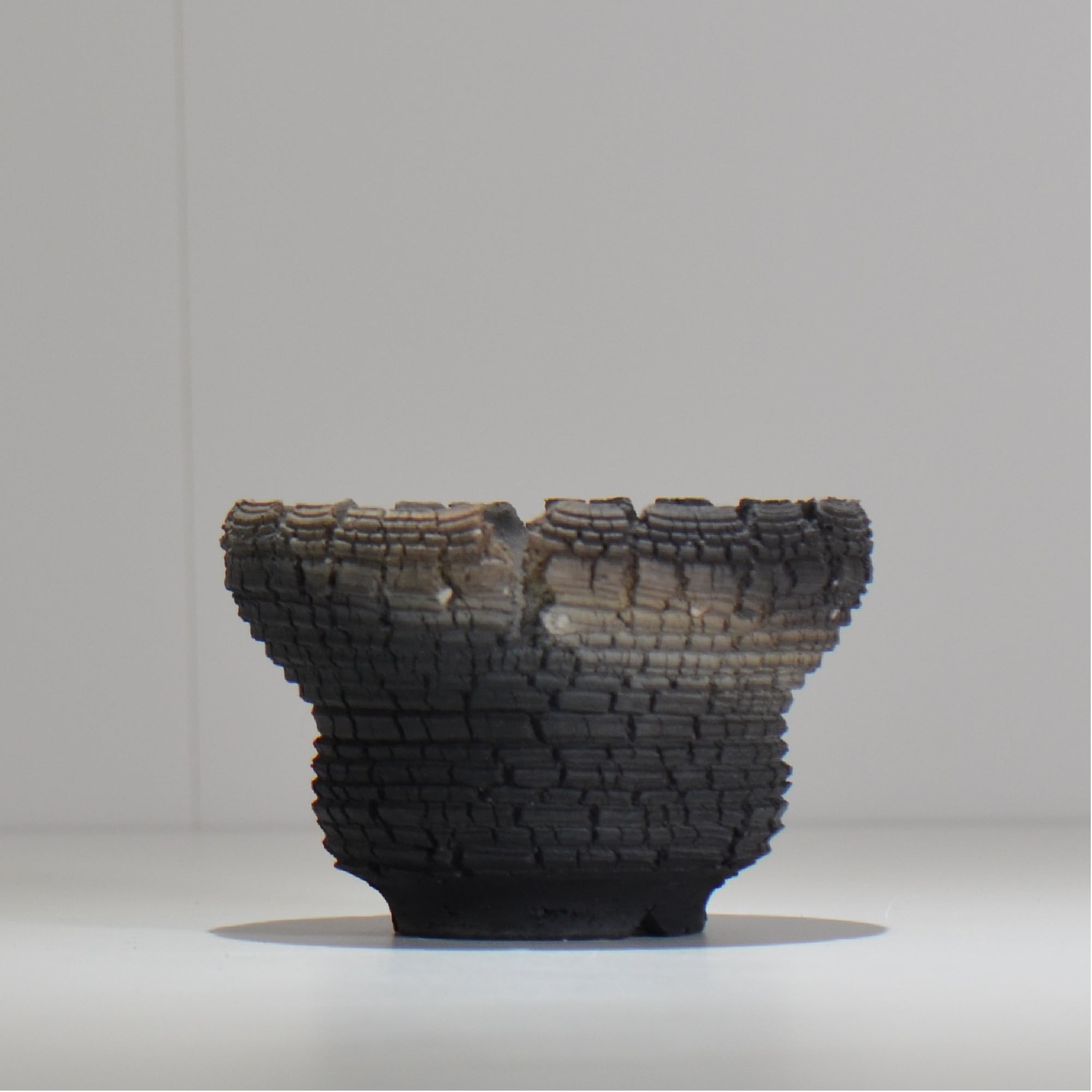 塊根植物・観葉植物の植木鉢専門店 「HACHILABO - ハチラボ- 」