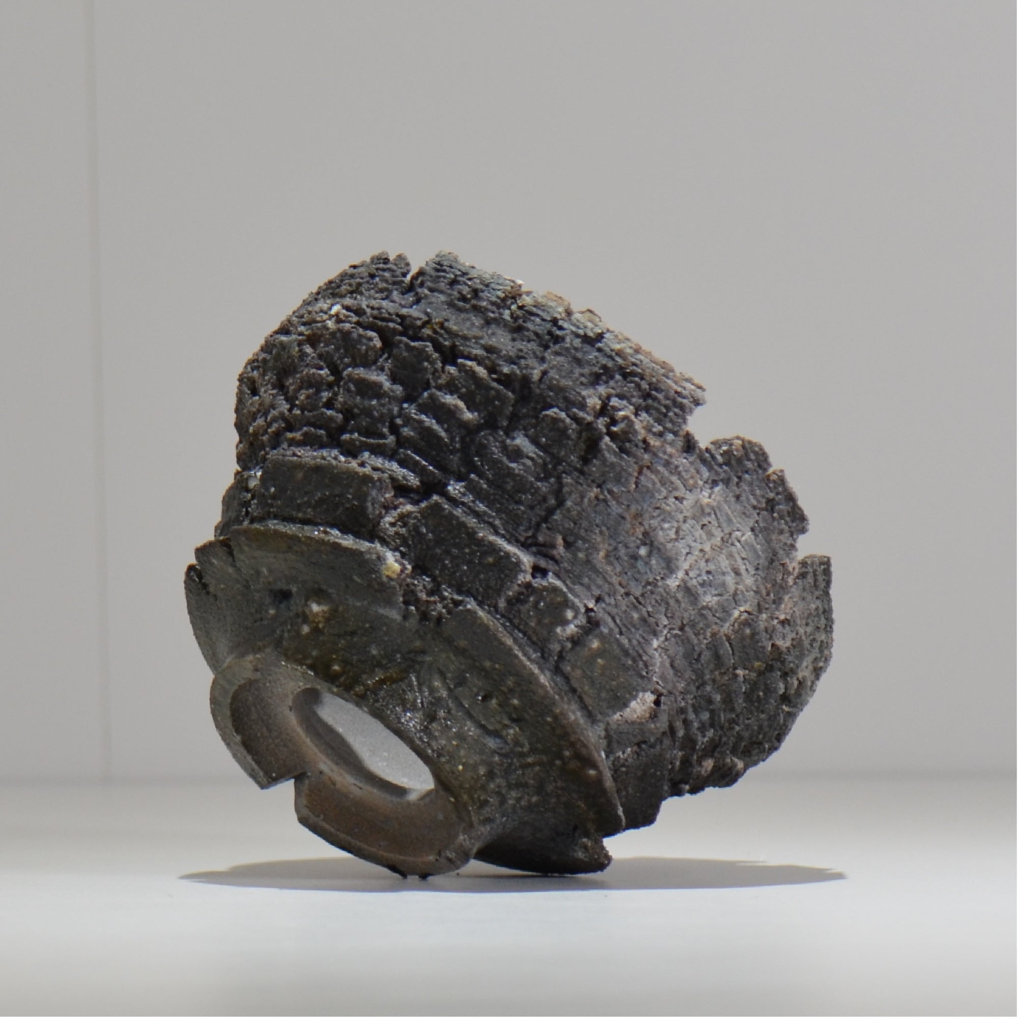 宮島將實 / mm3_ta18_m / 約 φ13cm / 植木鉢