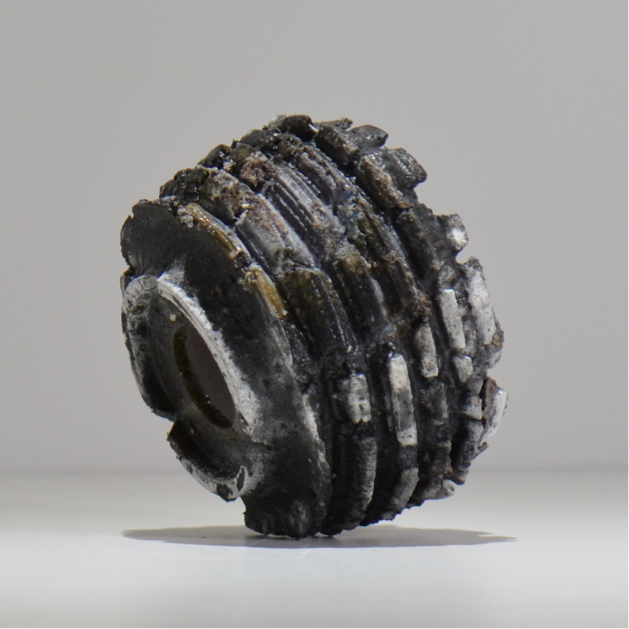 宮島將實 / mm3_ta23_s / 約 φ11cm / 植木鉢