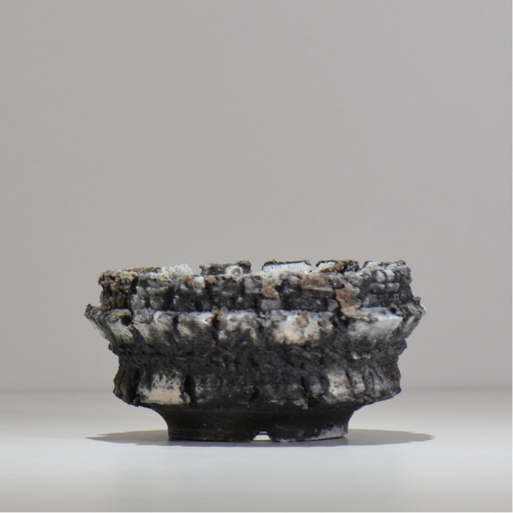 宮島將實 / mm3_ta24_m / 約 φ13.5cm / 植木鉢