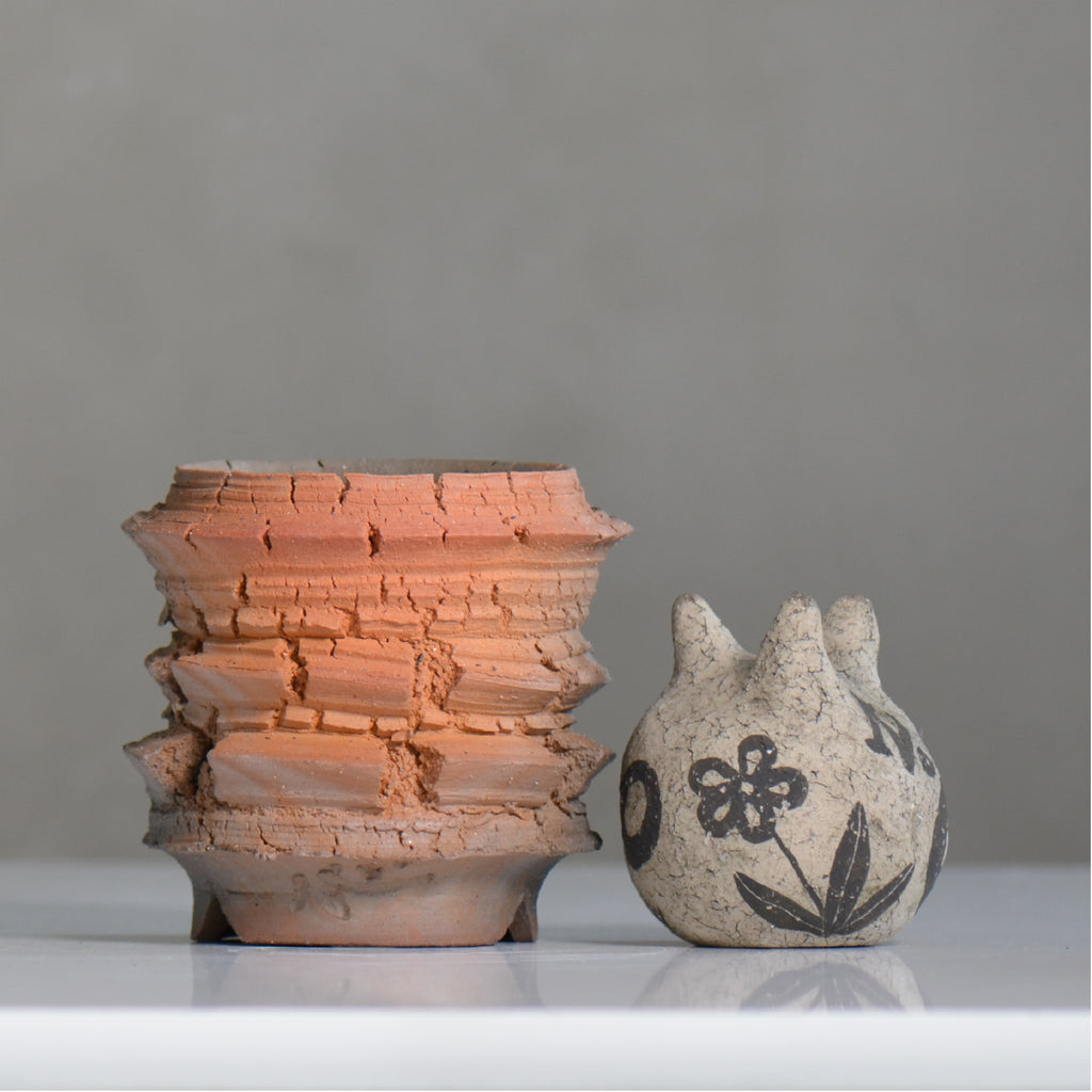 宮島將實 / mm5_ta21_s / 約 φ9cm / 植木鉢