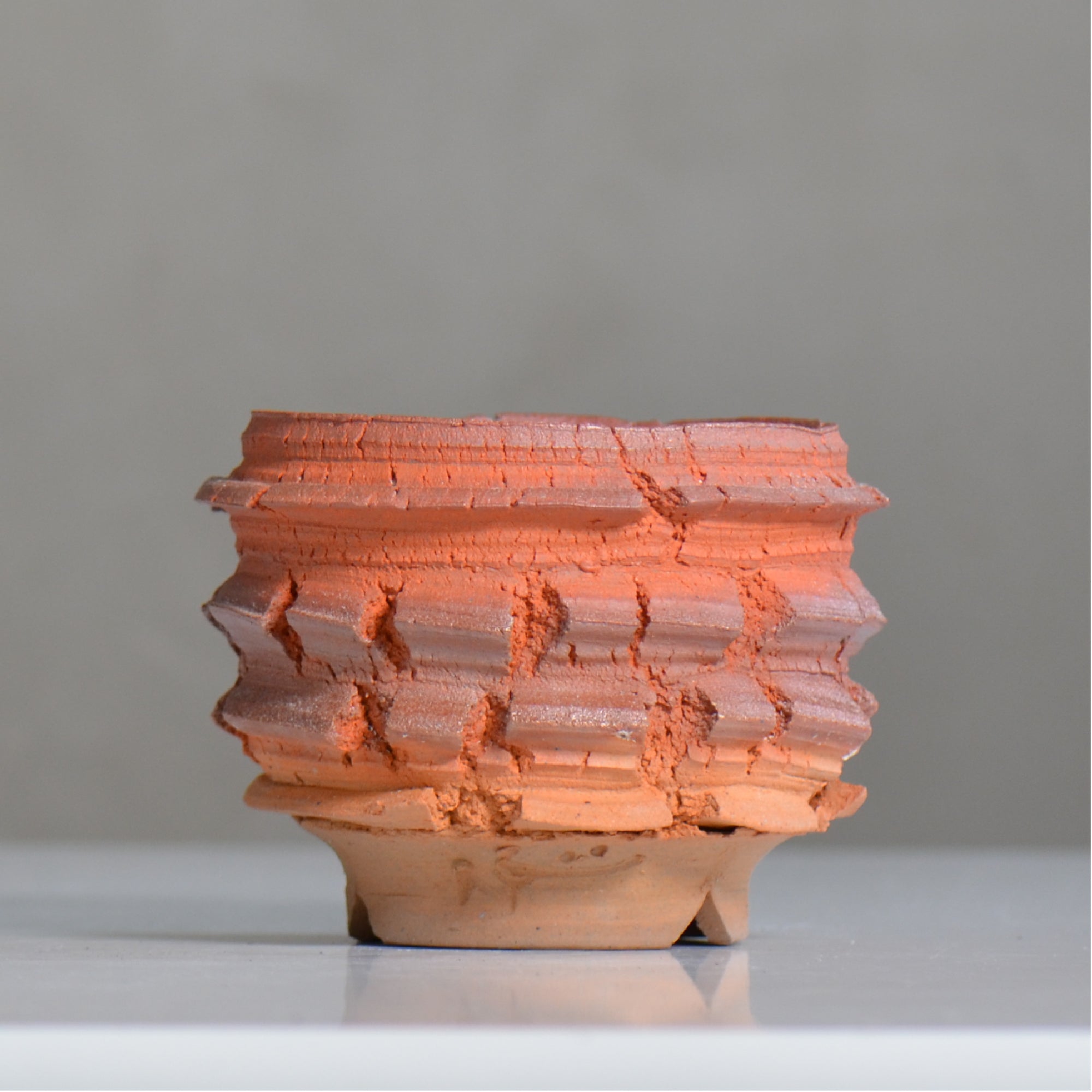 宮島將實 / mm5_ta31_s / 約 φ10.3cm / 植木鉢