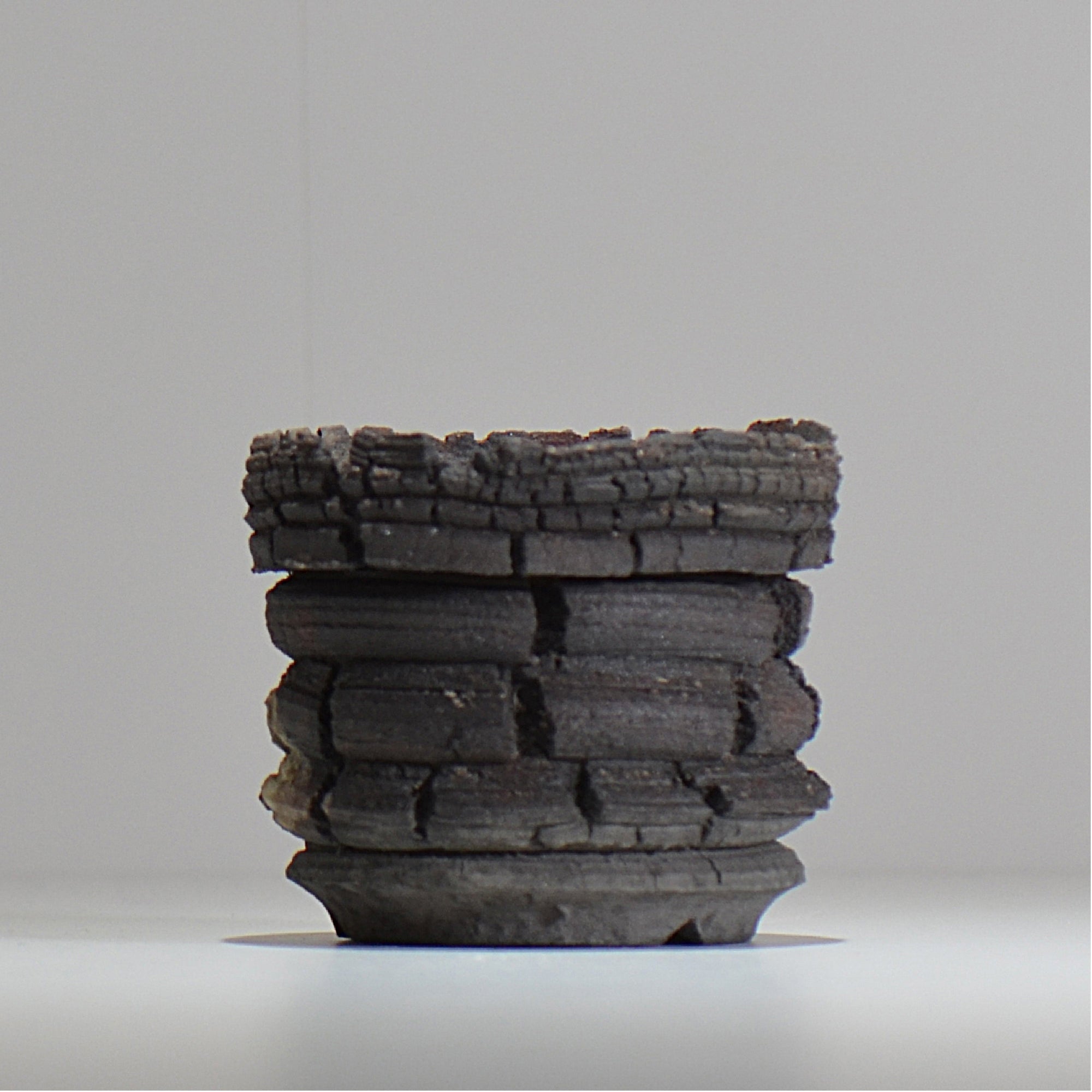 塊根植物・観葉植物の植木鉢専門店 「HACHILABO - ハチラボ- 」