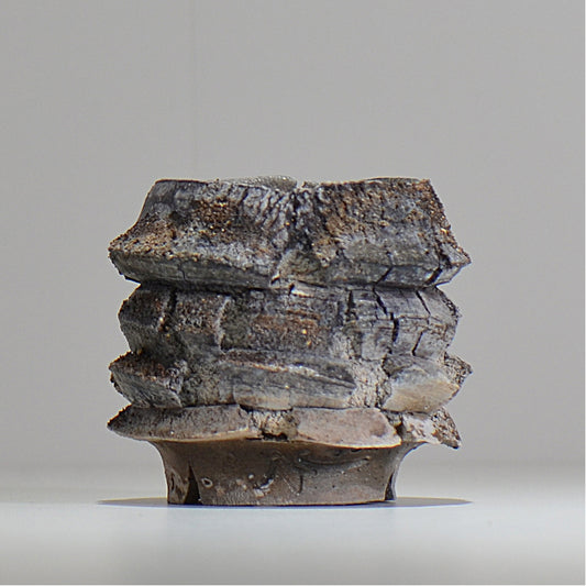 宮島將實 / mm_ta04_xs / 約 φ8cm / 植木鉢