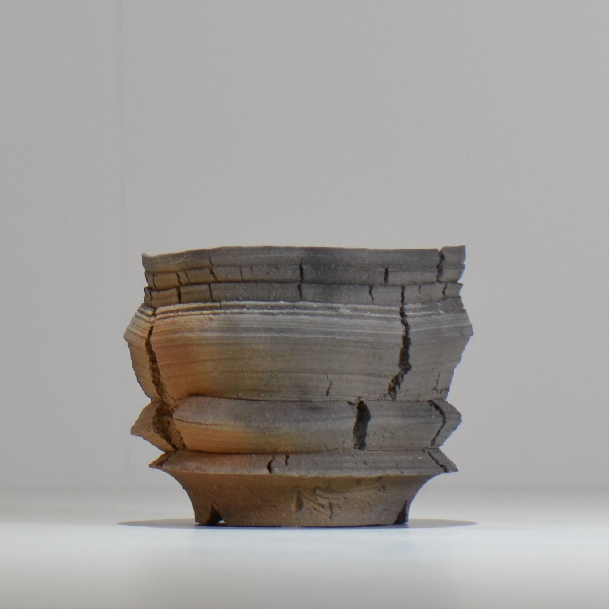 塊根植物・観葉植物の植木鉢専門店 「HACHILABO - ハチラボ- 」