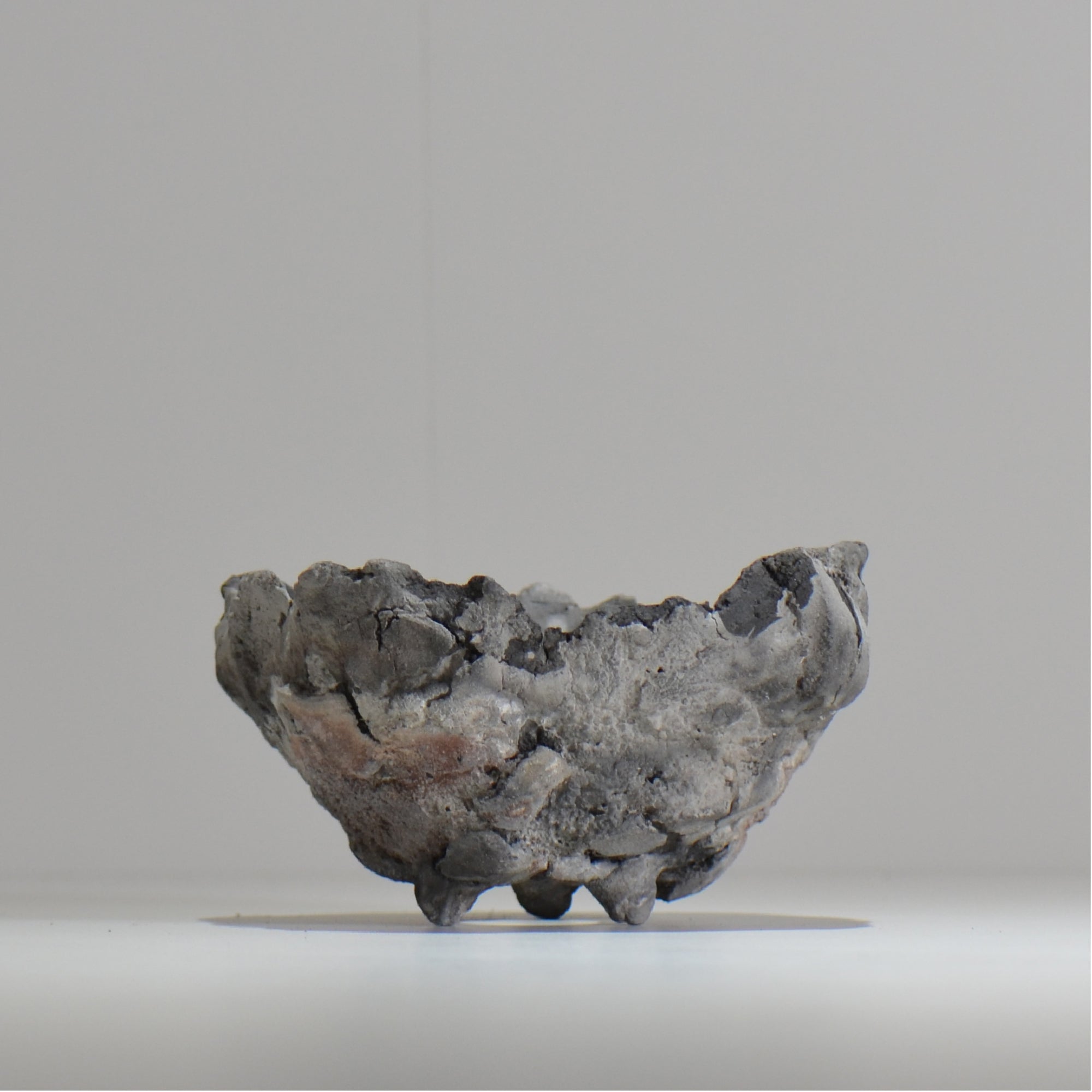 宮島將實 / mm_ta17_m / 約 φ13cm / 植木鉢 – ハチラボ