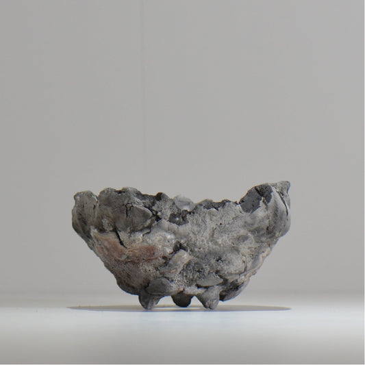 宮島將實 / mm_ta17_m / 約 φ13cm / 植木鉢