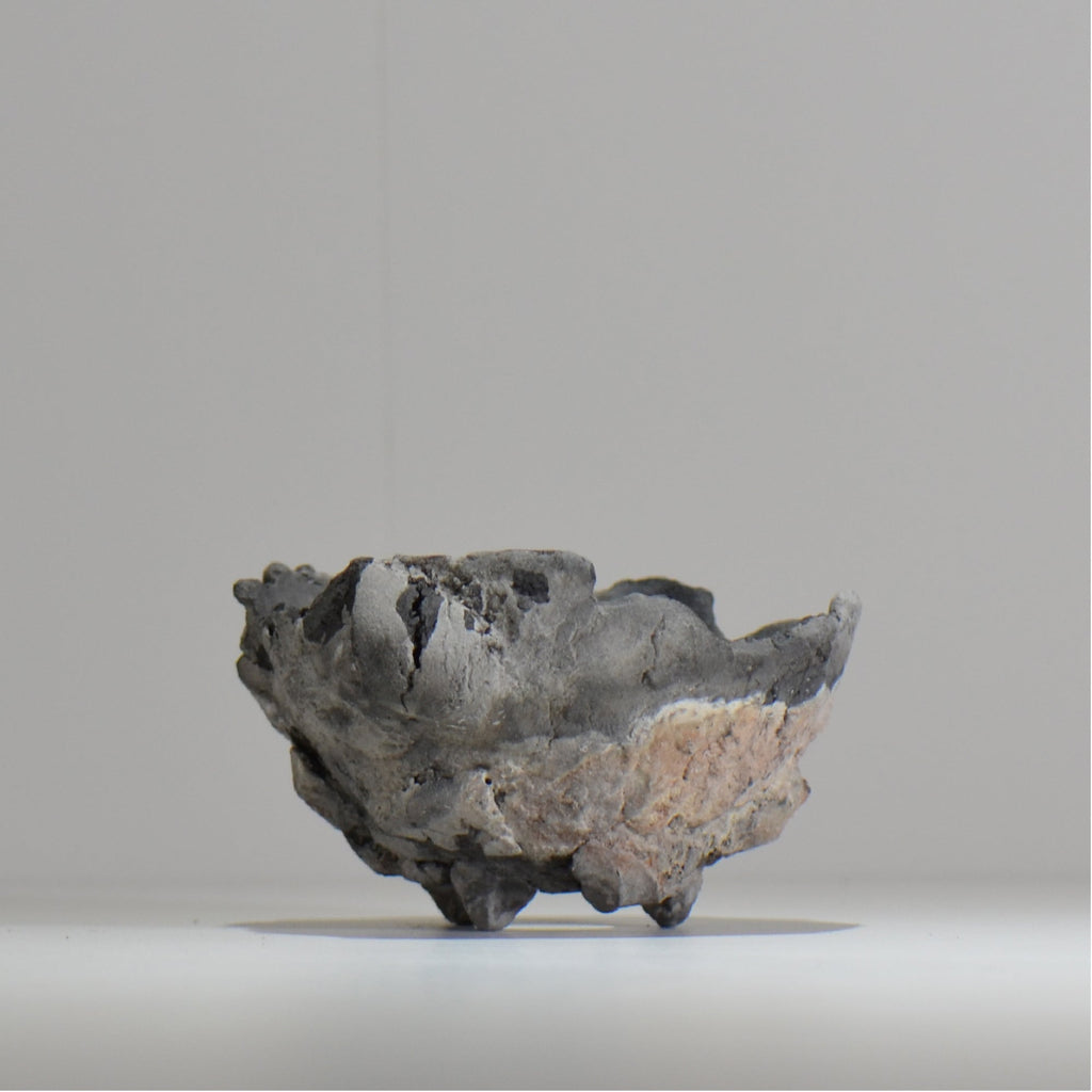 宮島將實 / mm_ta17_m / 約 φ13cm / 植木鉢