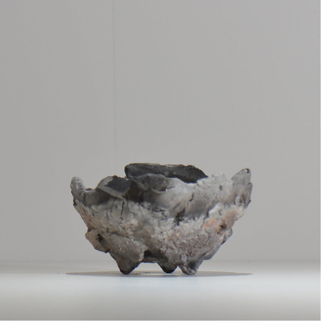 宮島將實 / mm_ta17_m / 約 φ13cm / 植木鉢