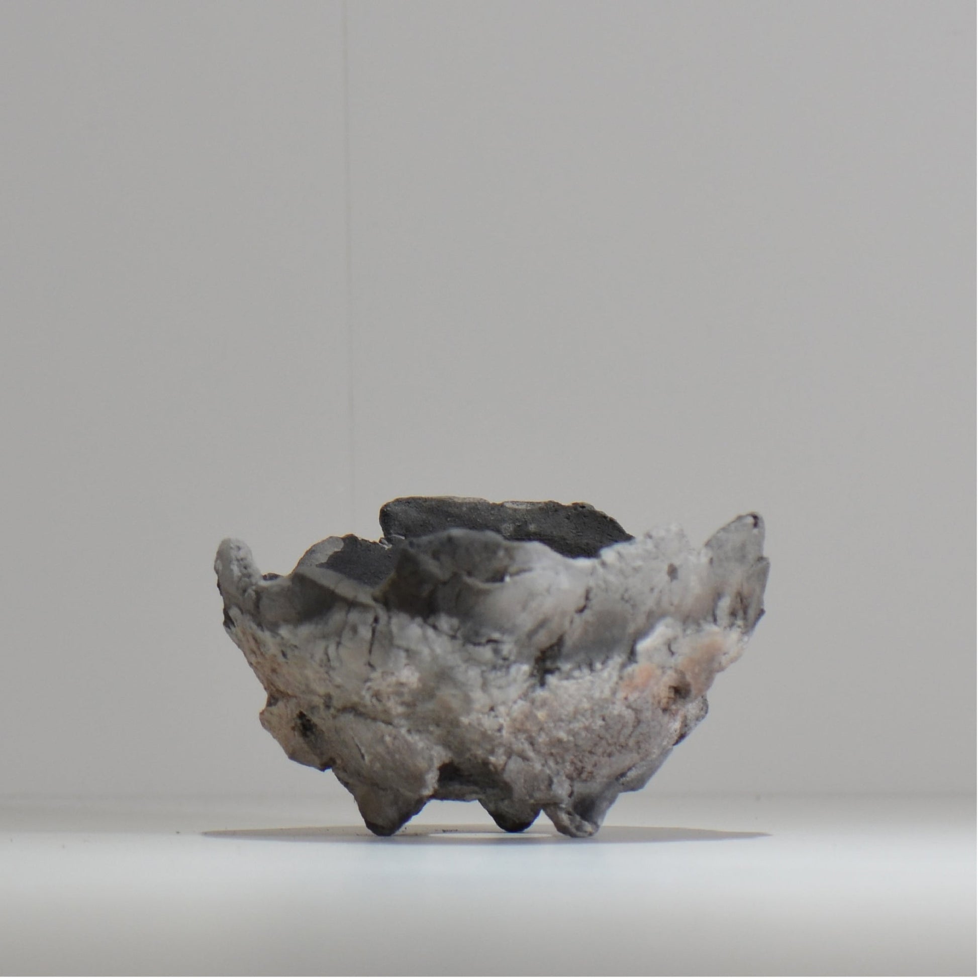 宮島將實 / mm_ta17_m / 約 φ13cm / 植木鉢