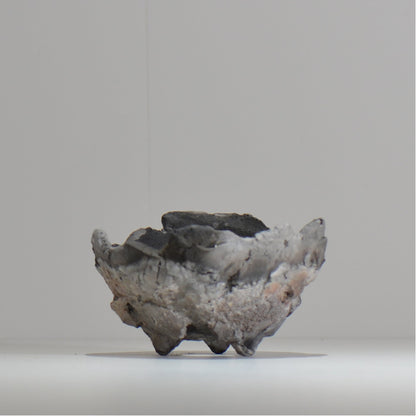 宮島將實 / mm_ta17_m / 約 φ13cm / 植木鉢