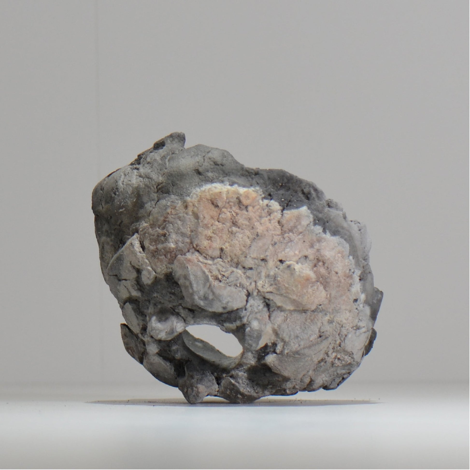 宮島將實 / mm_ta17_m / 約 φ13cm / 植木鉢