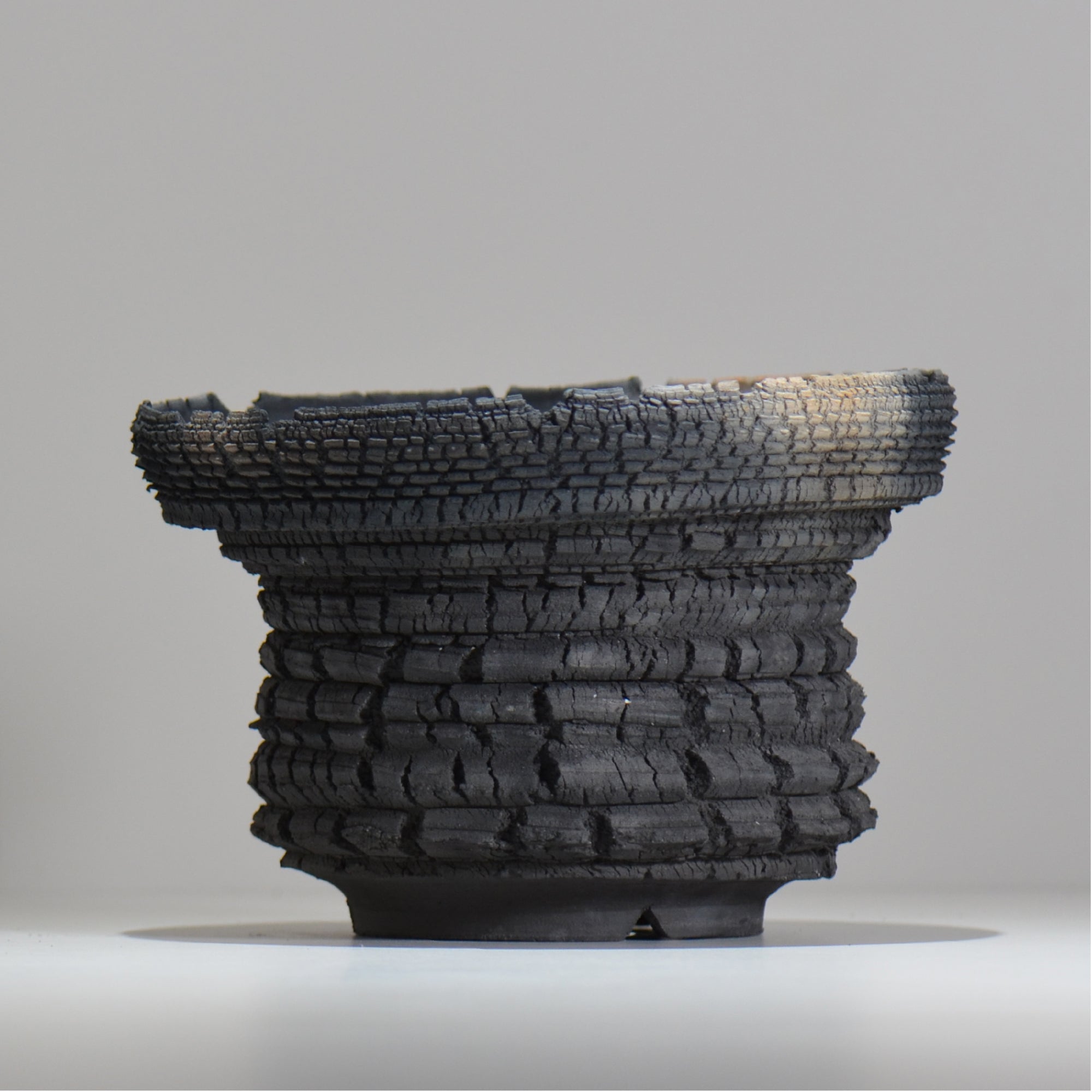 塊根植物・観葉植物の植木鉢専門店 「HACHILABO - ハチラボ- 」