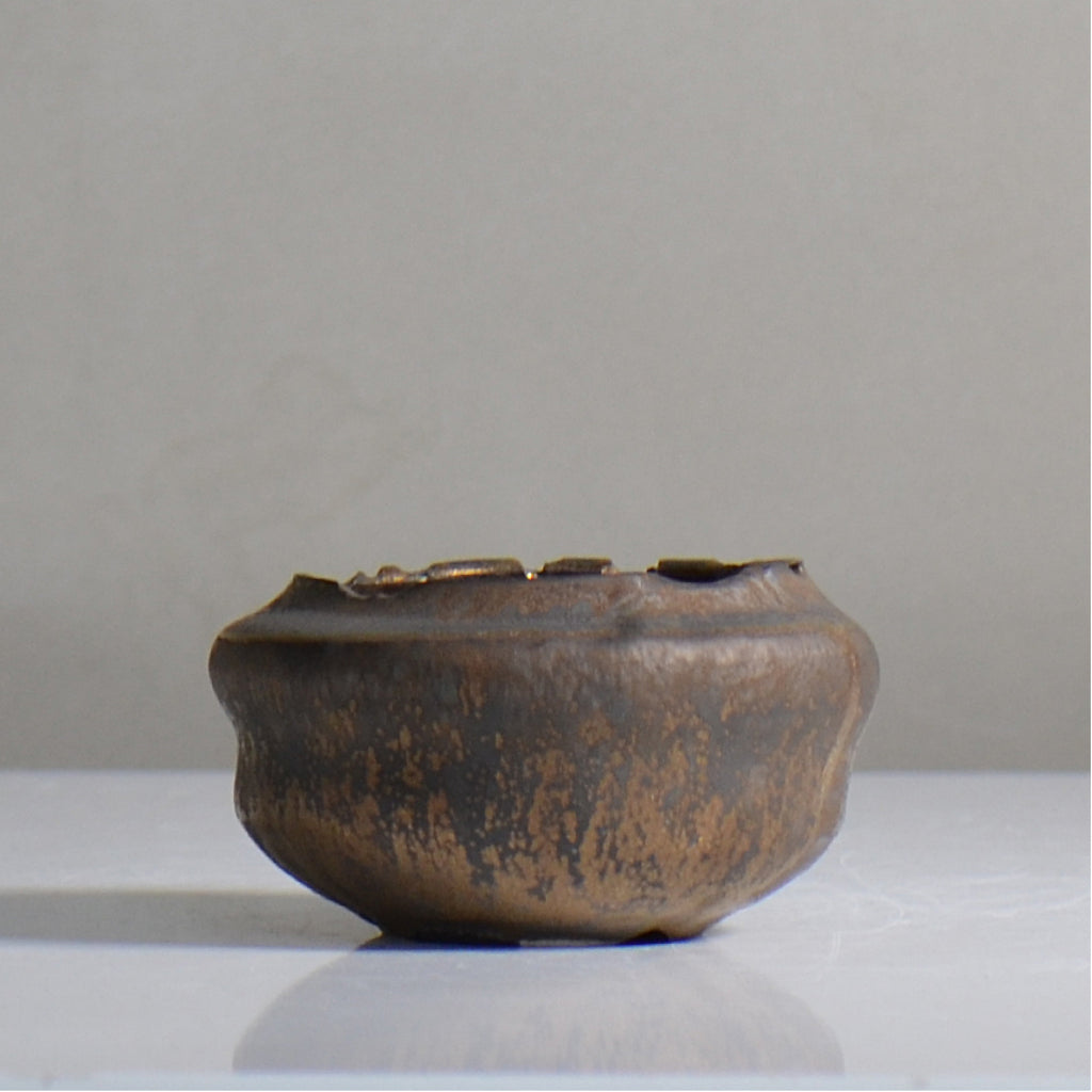 make plants pot / 金彩/ mn_go02_s / 約10cm / 植木鉢