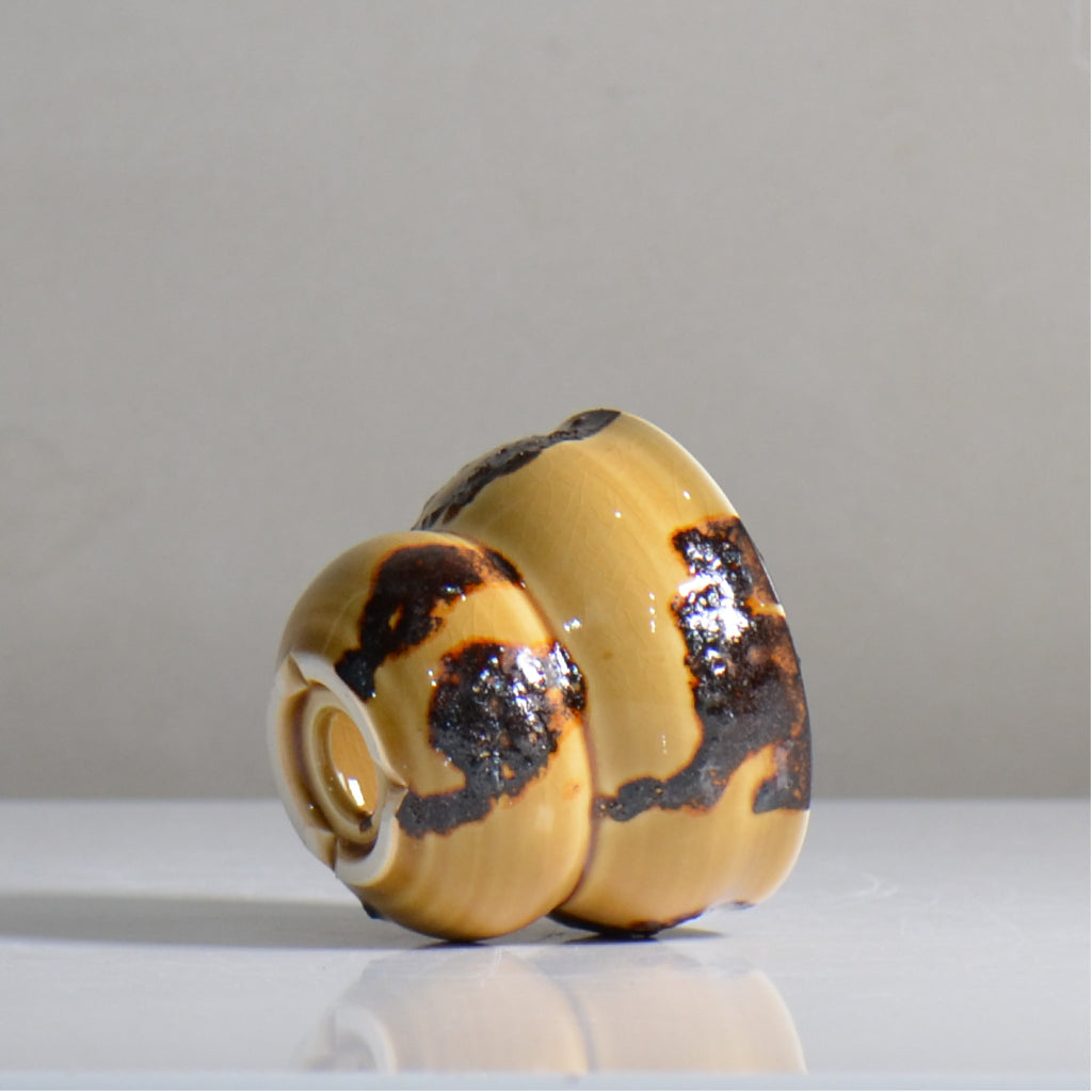 make plants pot / ミケ / mn_mi02_xs / 約8.7cm / 植木鉢