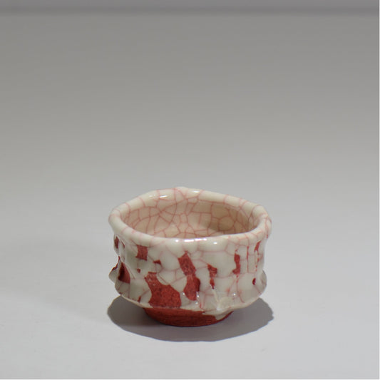 沼野秀章 / japan wrap ぐい呑 / nh_07