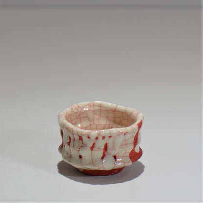 沼野秀章 / japan wrap ぐい呑 / nh_07