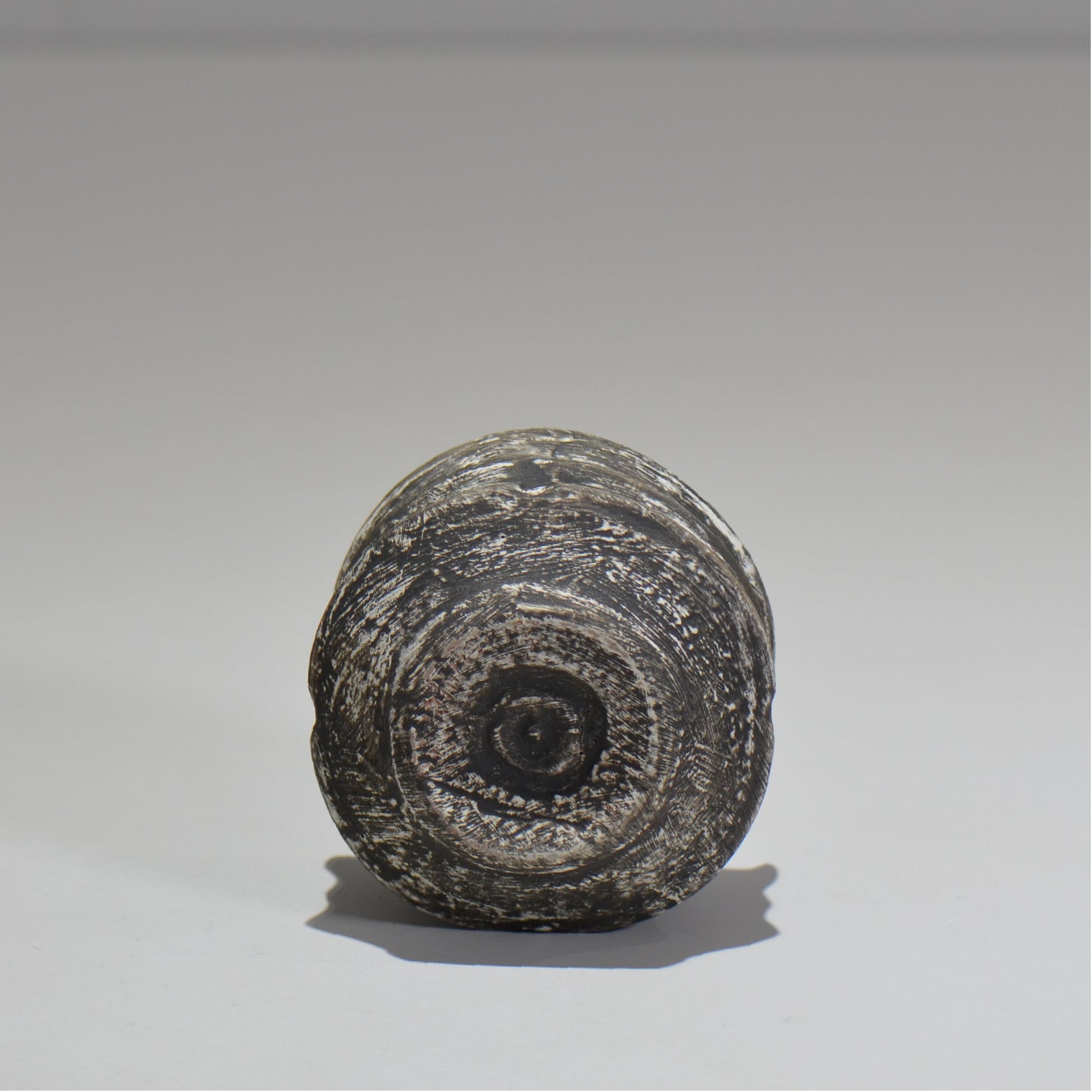 沼野秀章 / 夜明け前 ぐい呑 / nh_10