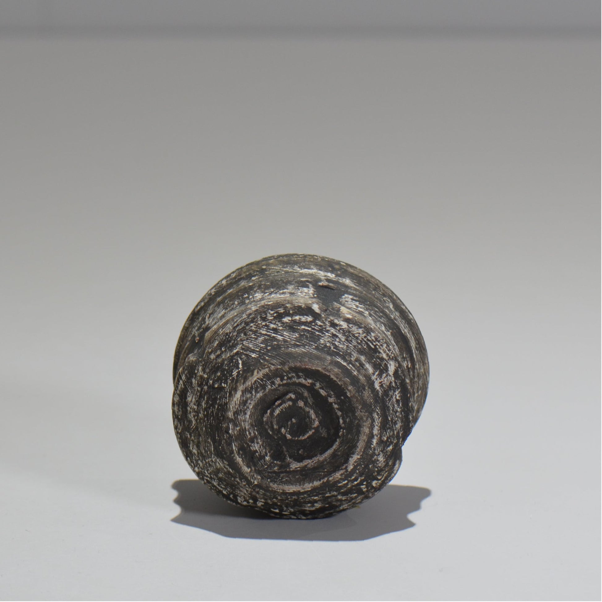 沼野秀章 / 夜明け前 ぐい呑 / nh_11