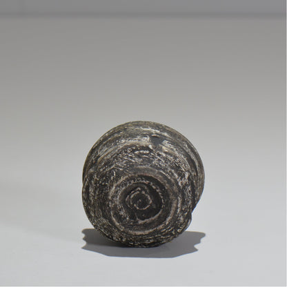 沼野秀章 / 夜明け前 ぐい呑 / nh_11