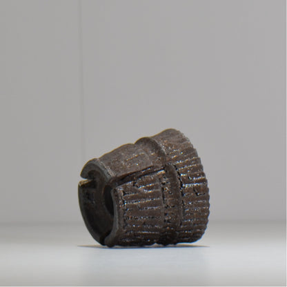 沼野秀章 / XS / nh2_bw01_xs/ 約 φ7cm / 植木鉢