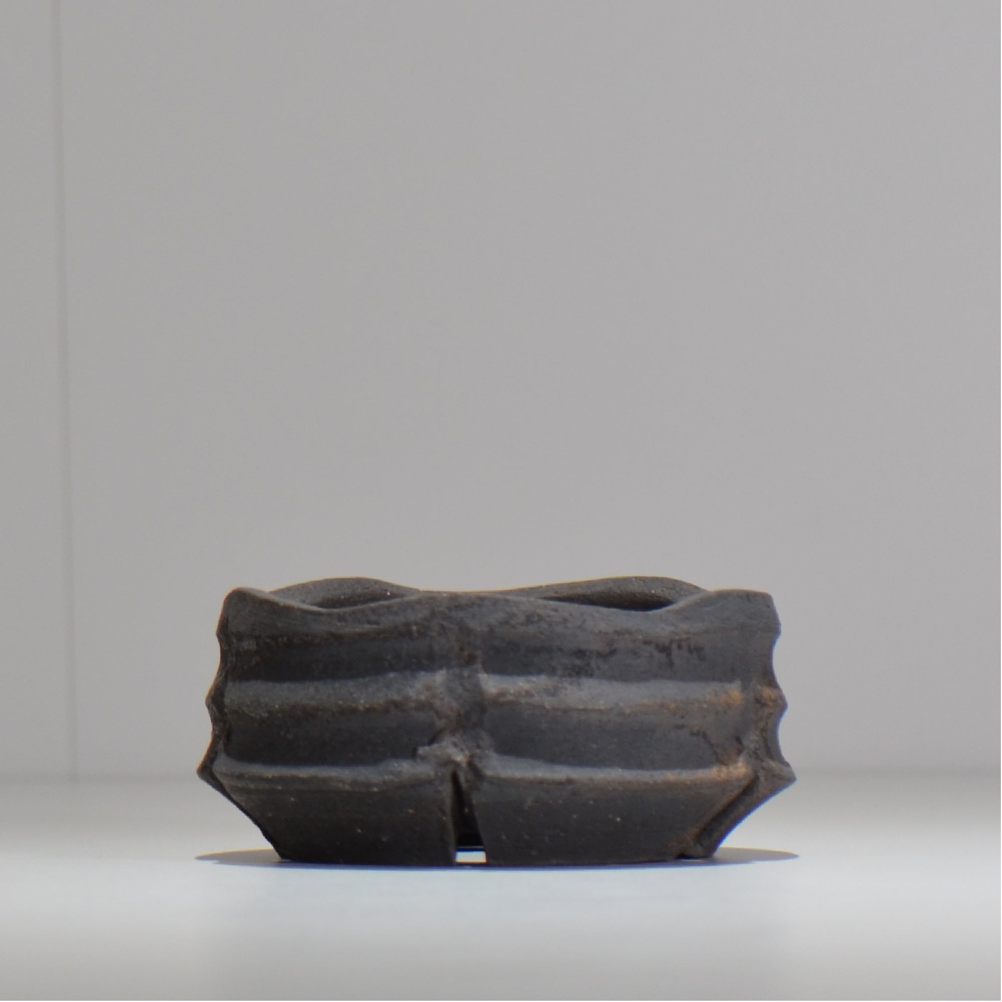 HIDEAKI NUMANO/沼野秀章 – ハチラボ