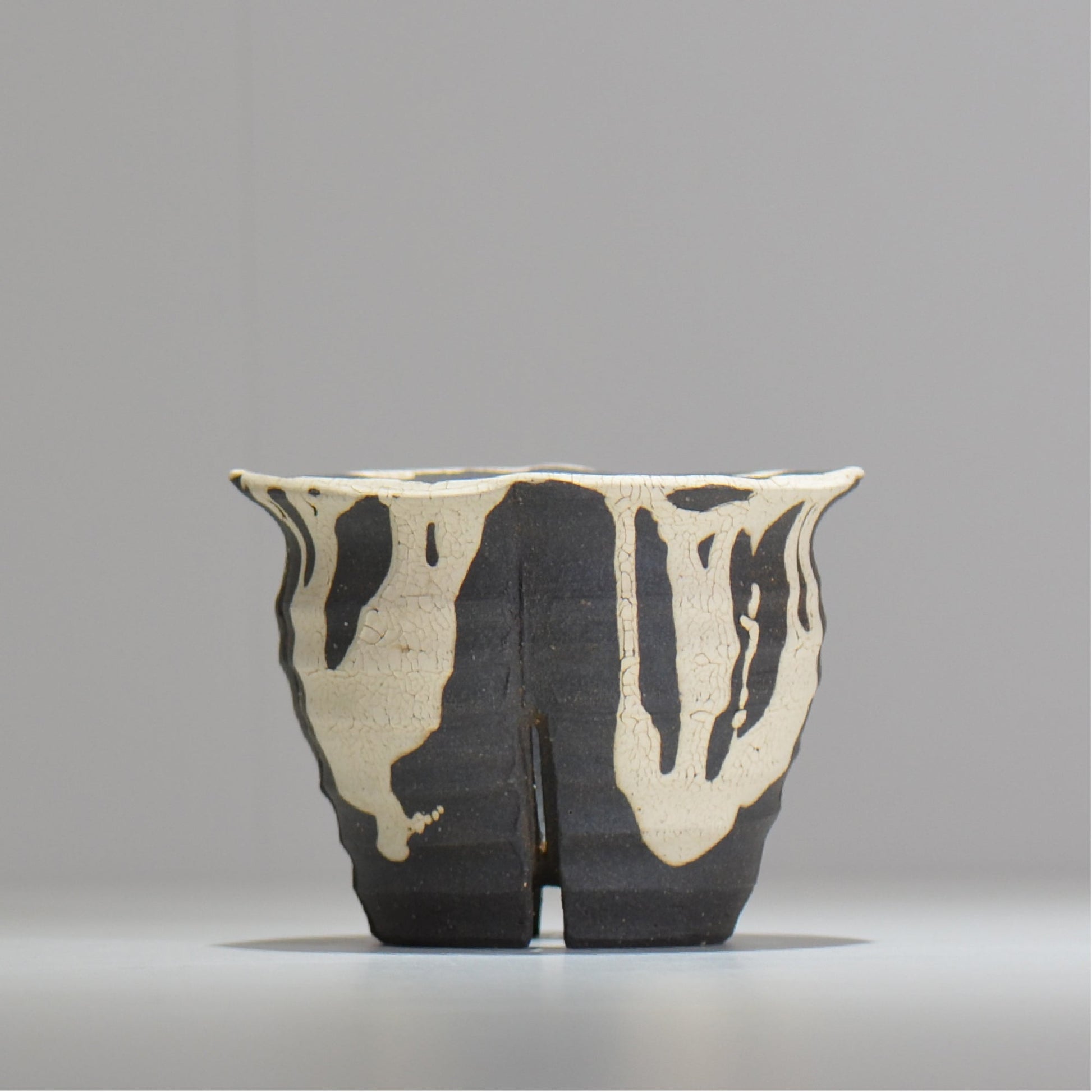 沼野 秀章 / 黒二白 / M / nh2_bwh09_m/ 約φ12.5cm / 植木鉢