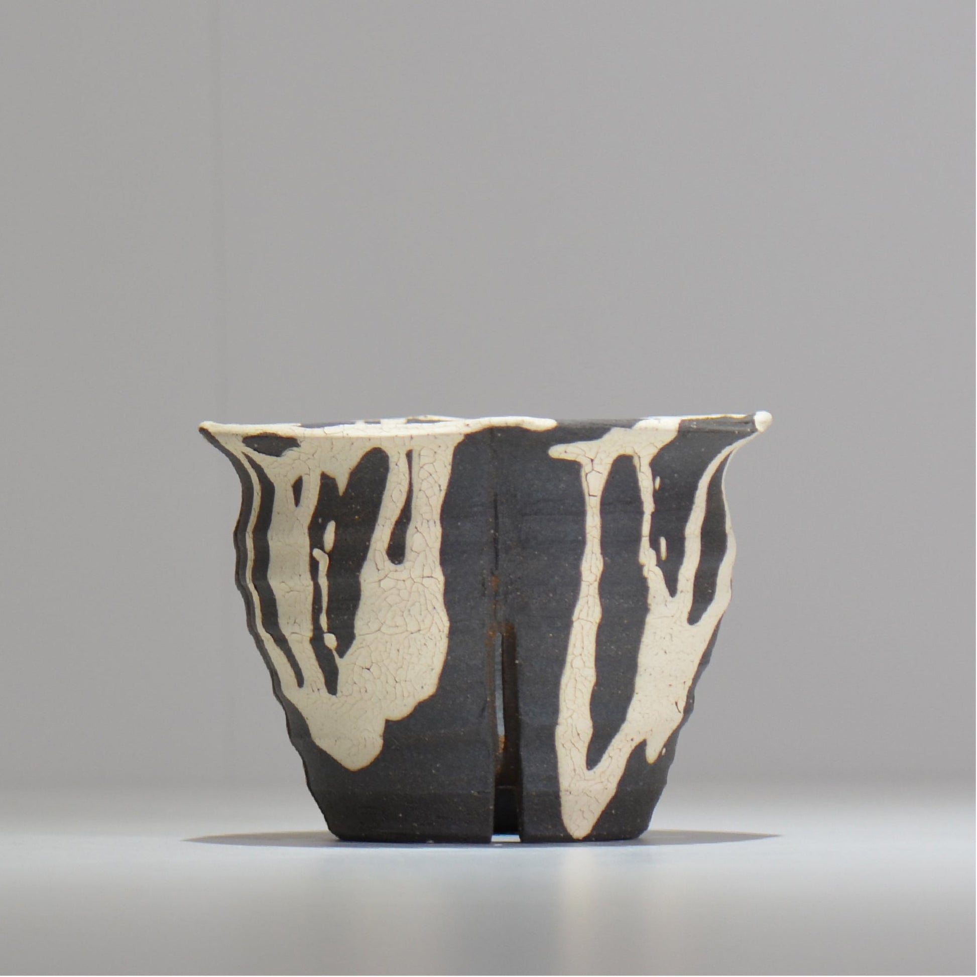 沼野 秀章 / 黒二白 / M / nh2_bwh09_m/ 約φ12.5cm / 植木鉢