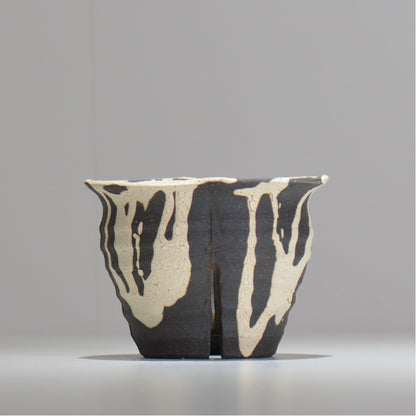 沼野 秀章 / 黒二白 / M / nh2_bwh09_m/ 約φ12.5cm / 植木鉢