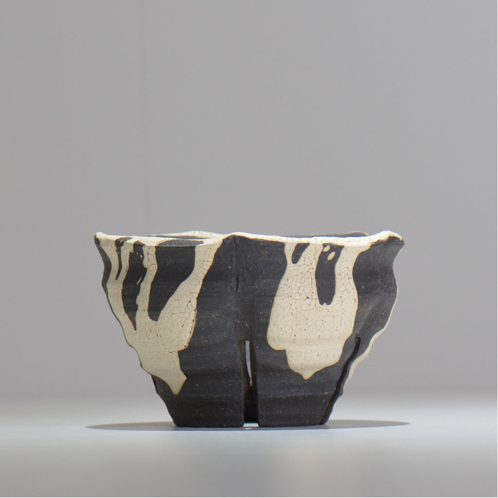 沼野 秀章 / 黒二白 / M / nh2_bwh11_m/ 約φ13.2cm / 植木鉢