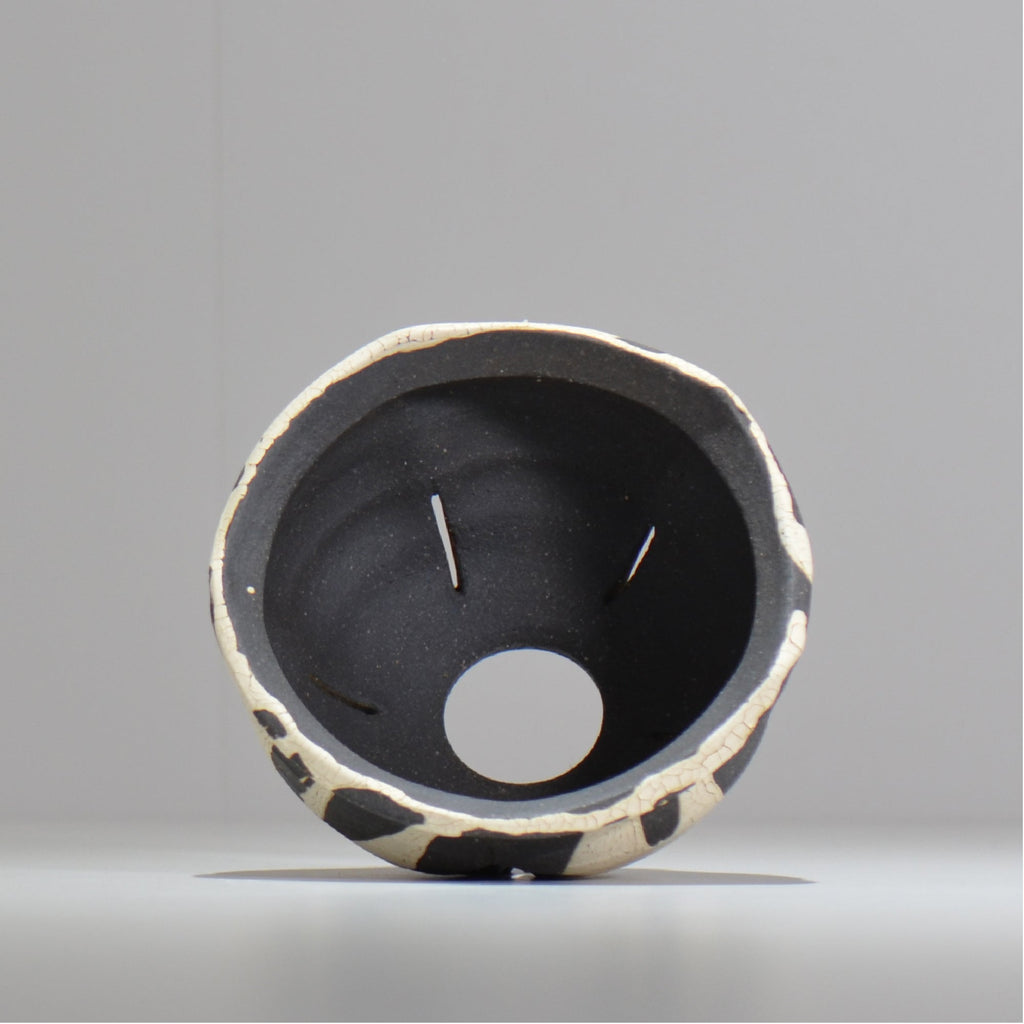 沼野 秀章 / 黒二白 / M / nh2_bwh11_m/ 約φ13.2cm / 植木鉢