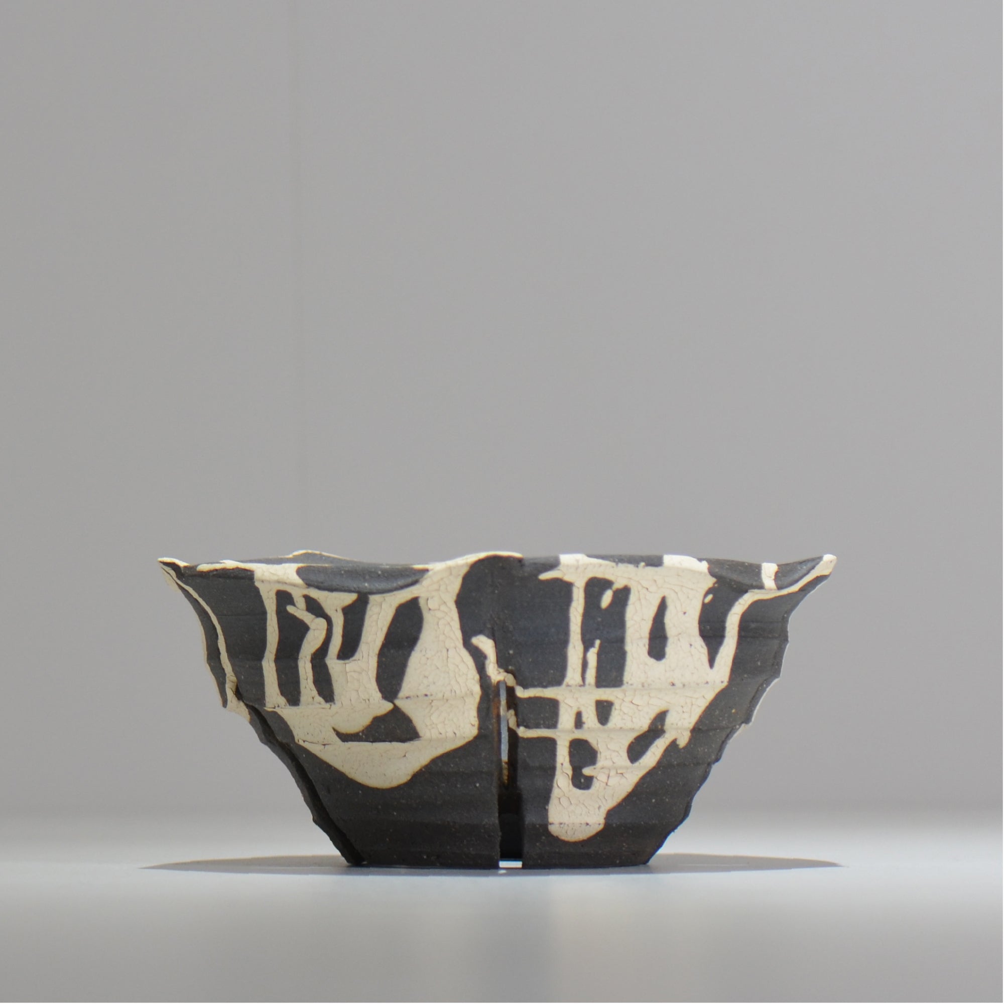 沼野 秀章 / 黒二白 / L / nh2_bwh17_l/ 約φ16cm / 植木鉢