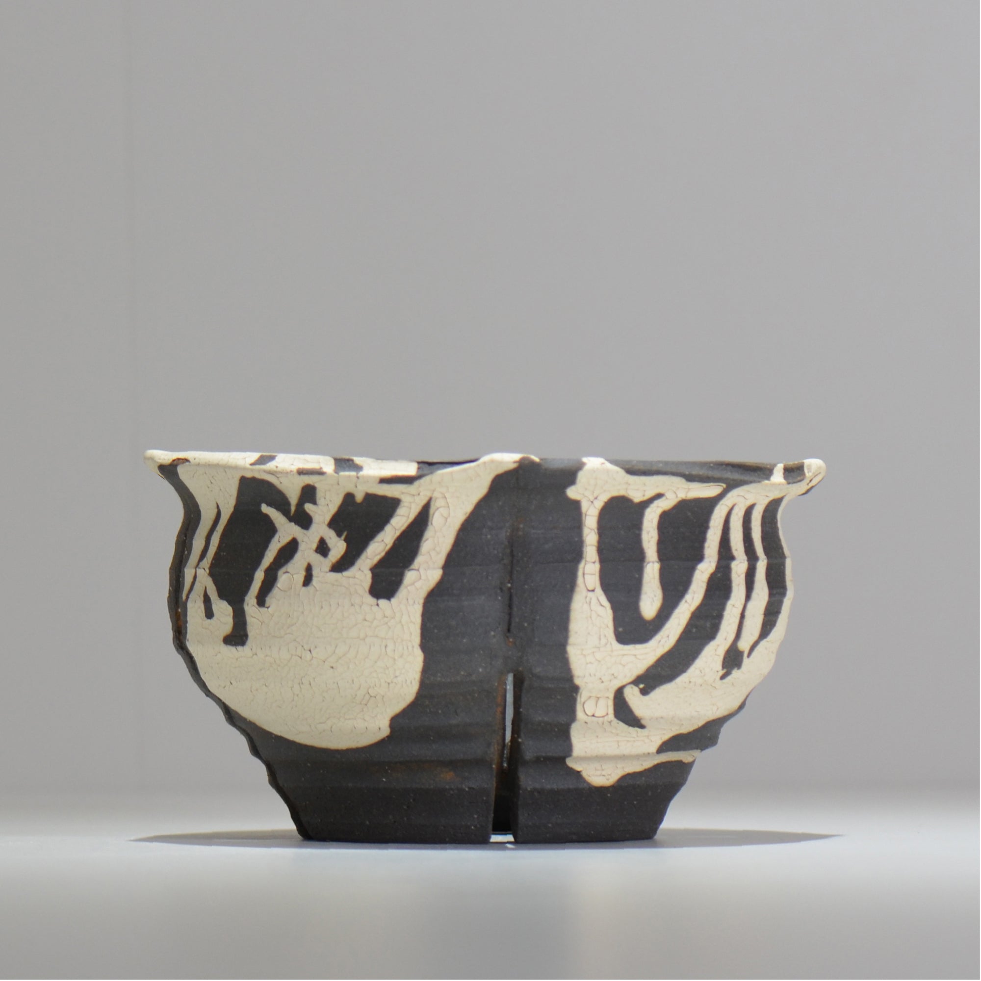 沼野 秀章 / 黒二白 / L / nh2_bwh20_l/ 約φ17cm / 植木鉢
