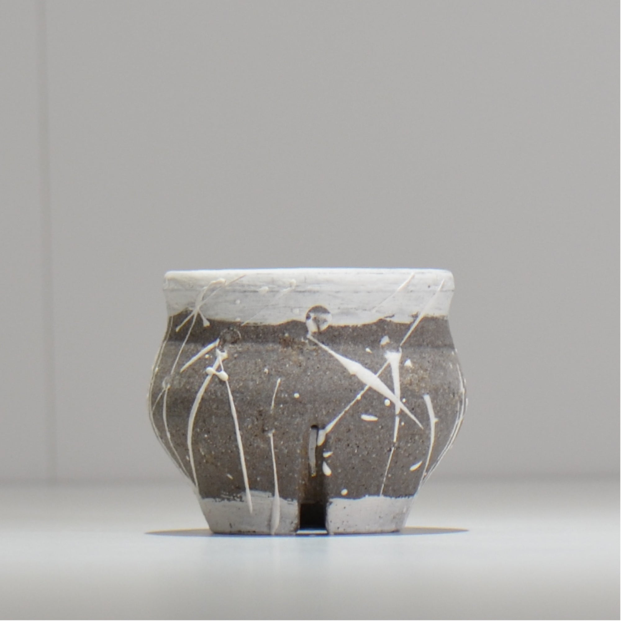 LIZARD 3 - GOLD13-35/XLサイズ – ハチラボ