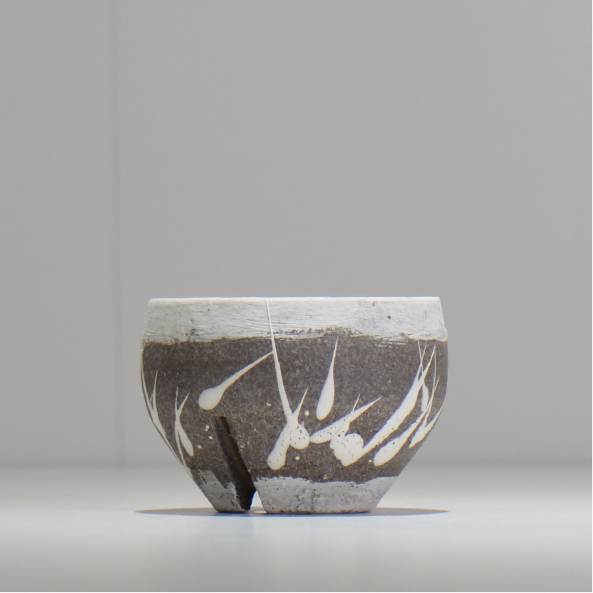 塊根植物・観葉植物の植木鉢専門店 「HACHILABO - ハチラボ- 」