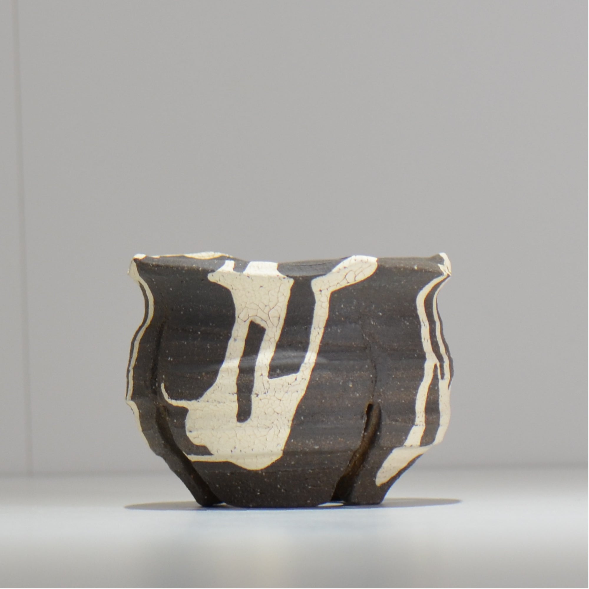沼野 秀章 / 黒二白 / M / nh3_bwh08 / 約φ10.5cm / 植木鉢 – ハチラボ