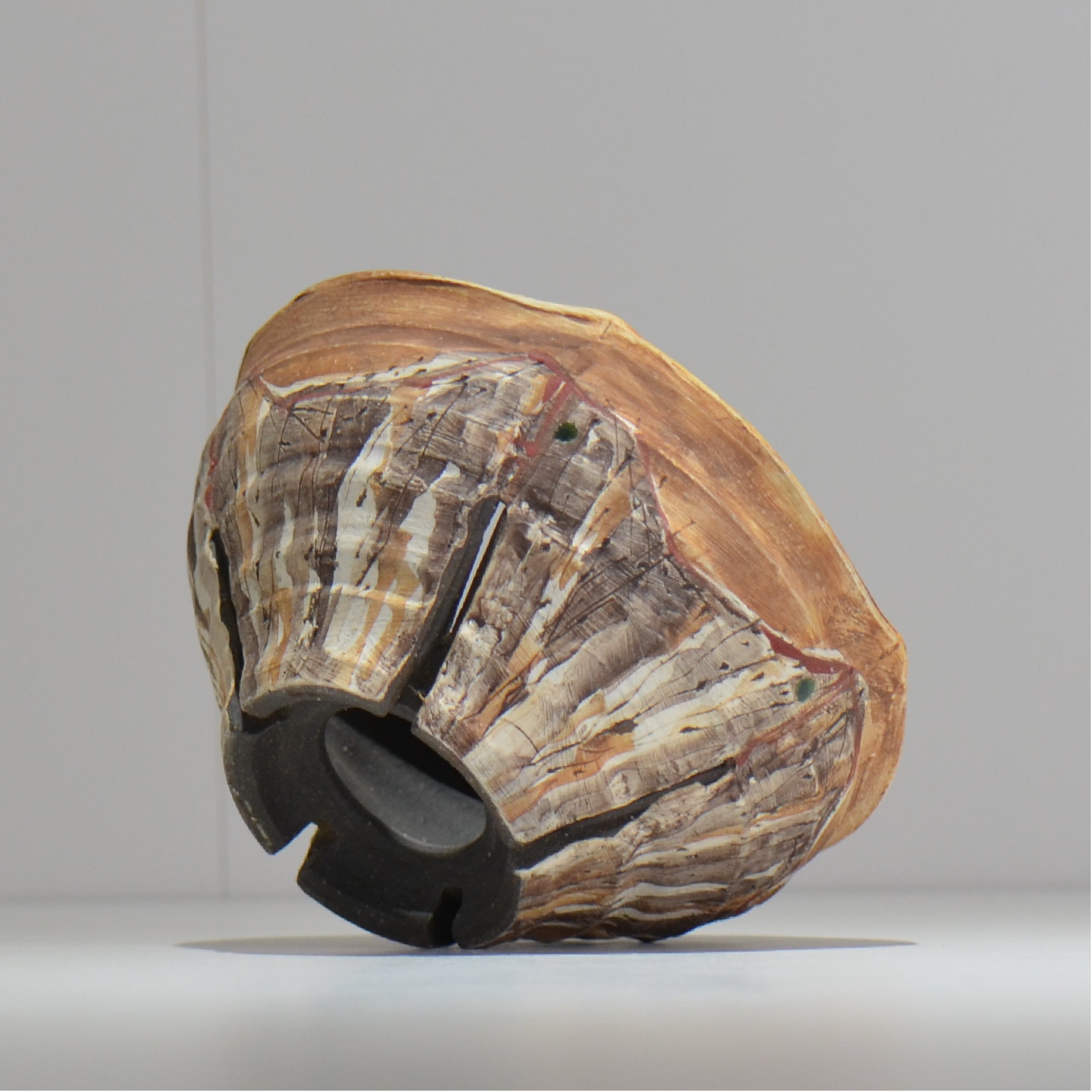 沼野 秀章 / 刻む音 /  nh3_so14_m/ 約φ15cm / 植木鉢
