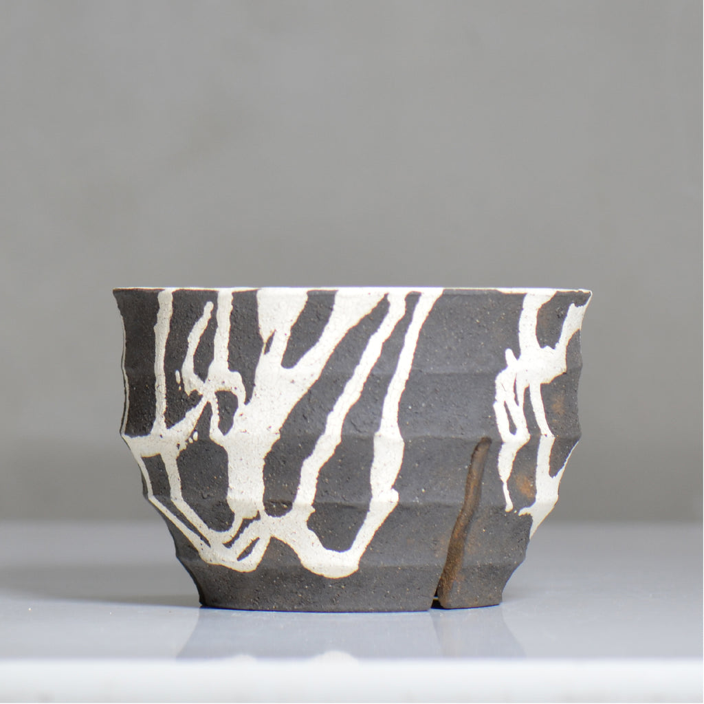 沼野 秀章 / 黒二白 / nh6_bw17_l / 約φ16cm / 植木鉢