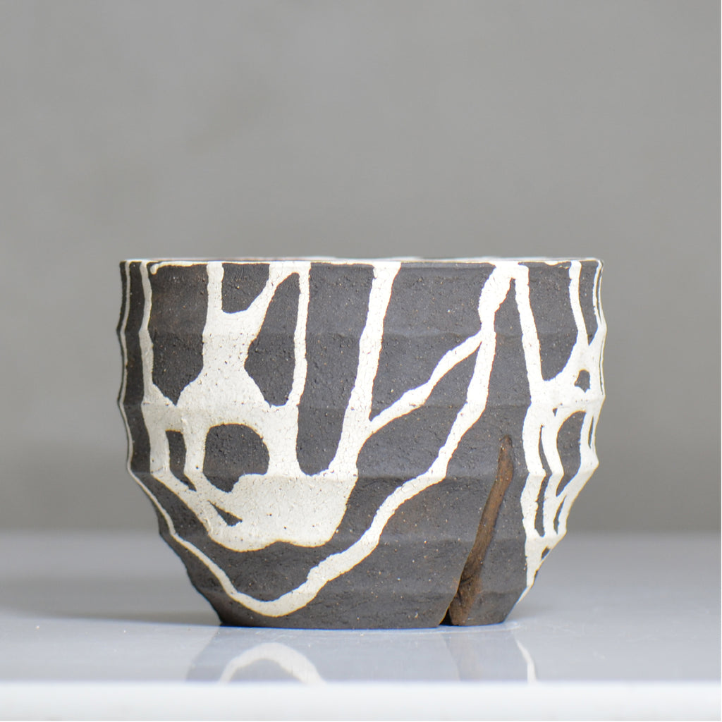 沼野 秀章 / 黒二白 / nh6_bw18_m / 約φ15cm / 植木鉢