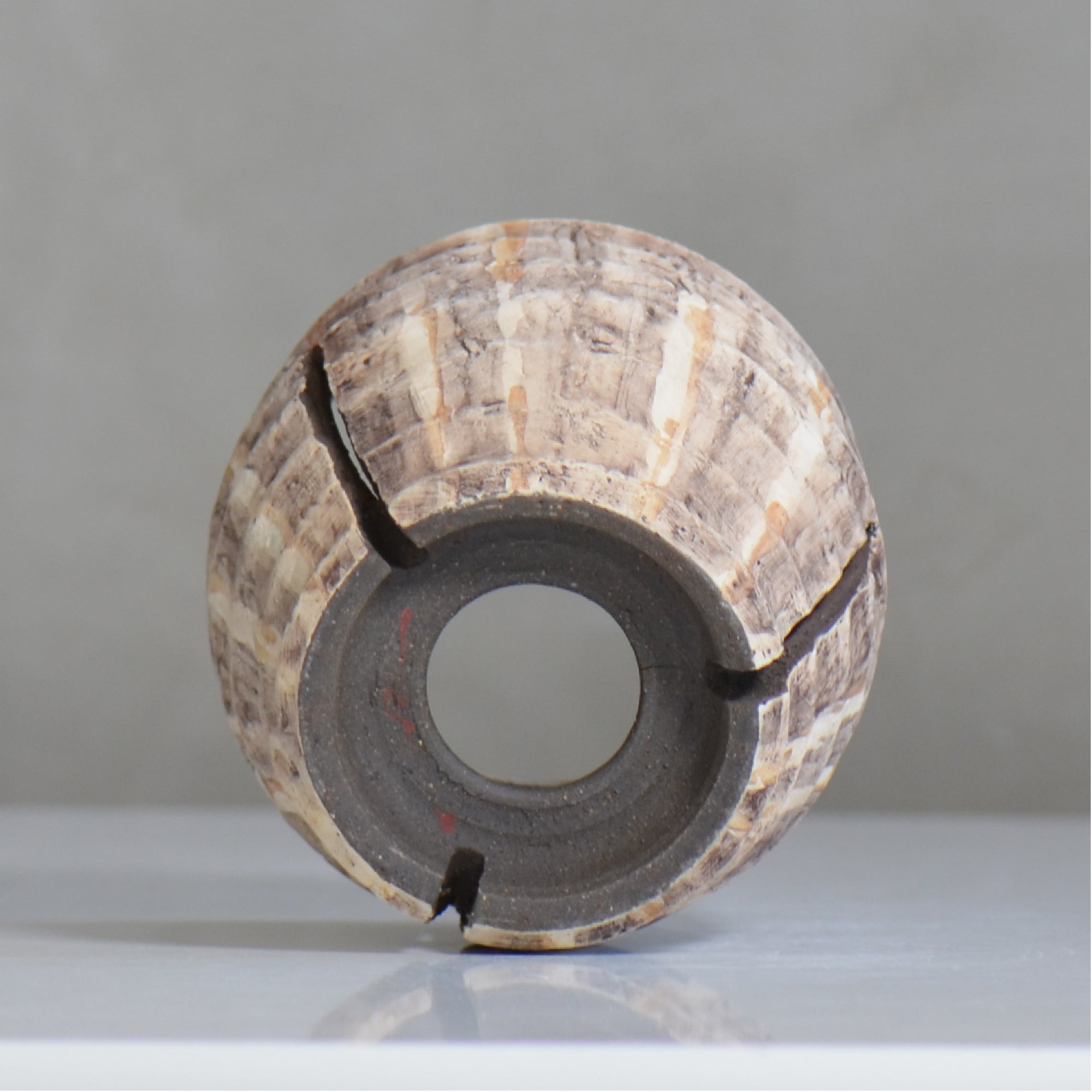 沼野秀章 / 刻ム音 / nh6_so06_m / 約 φ12.5cm  /  植木鉢
