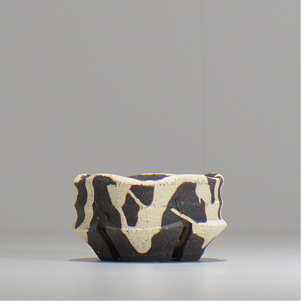 沼野 秀章 / 黒二白 / S  / nh_bw01_xs/ 約φ8cm / 植木鉢
