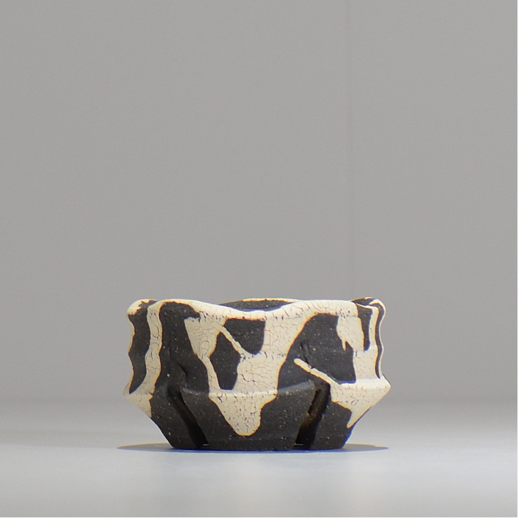 沼野 秀章 / 黒二白 / S  / nh_bw01_xs/ 約φ8cm / 植木鉢