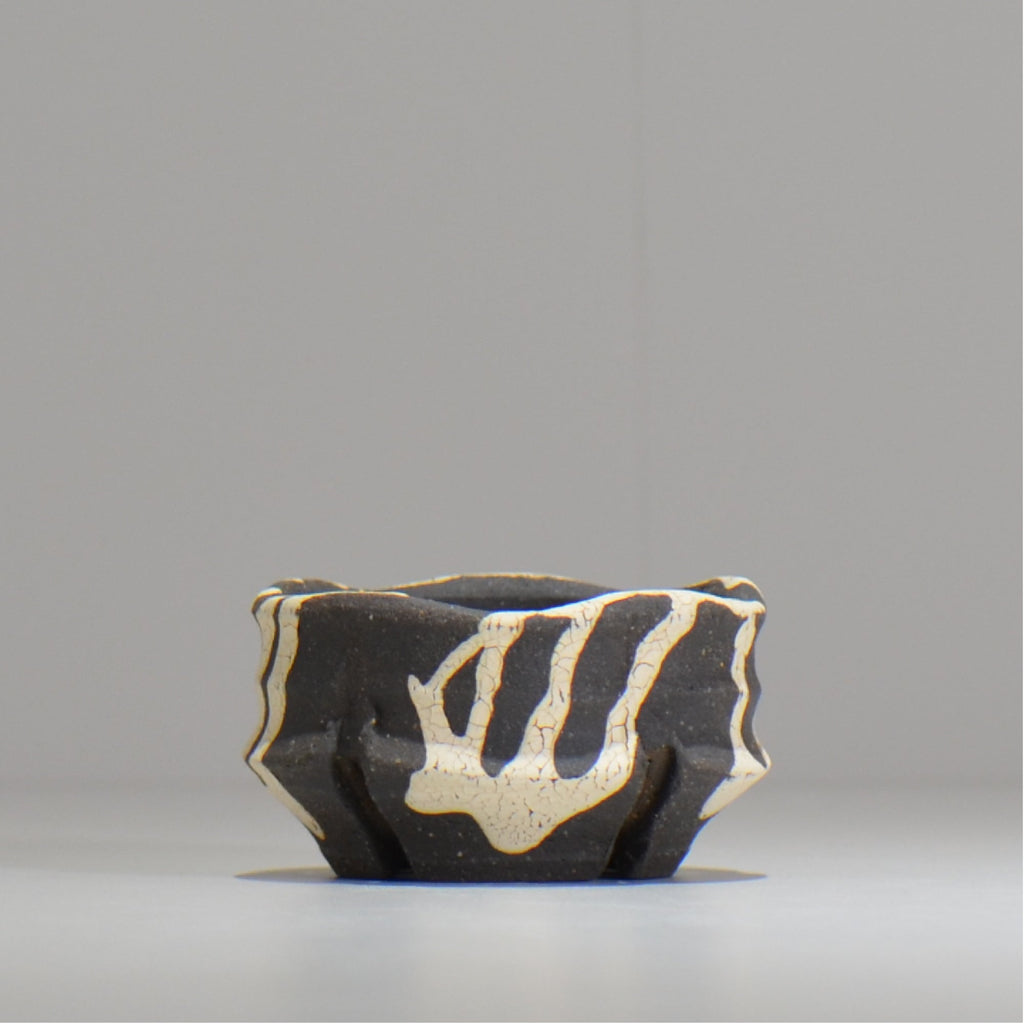 沼野 秀章 / 黒二白 / S  / nh_bw01_xs/ 約φ8cm / 植木鉢