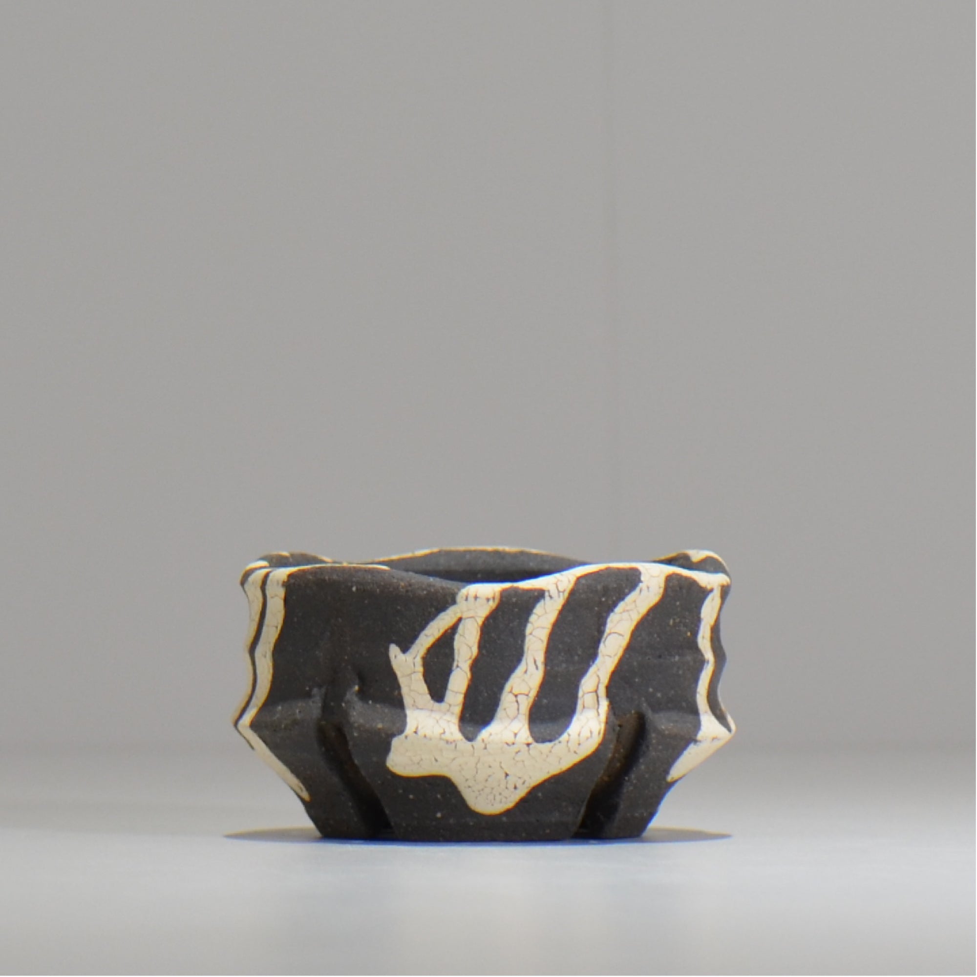 沼野 秀章 / 黒二白 / S  / nh_bw01_xs/ 約φ8cm / 植木鉢